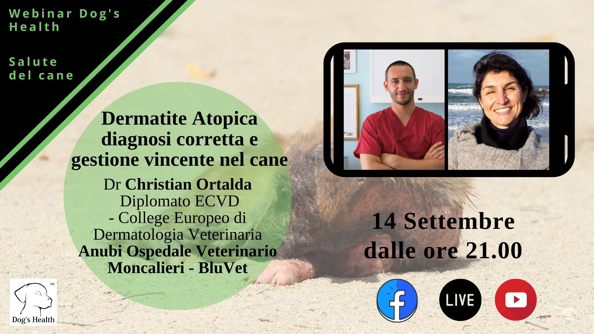 Dermatite Atopica Nel Cane Webinar BluVet