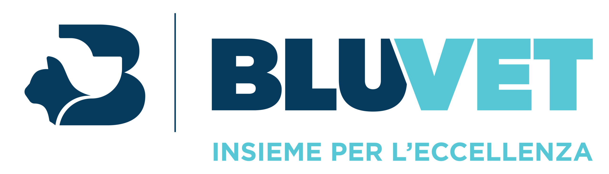 cropped Logo BV Insieme per leccelenza scaled 1.png