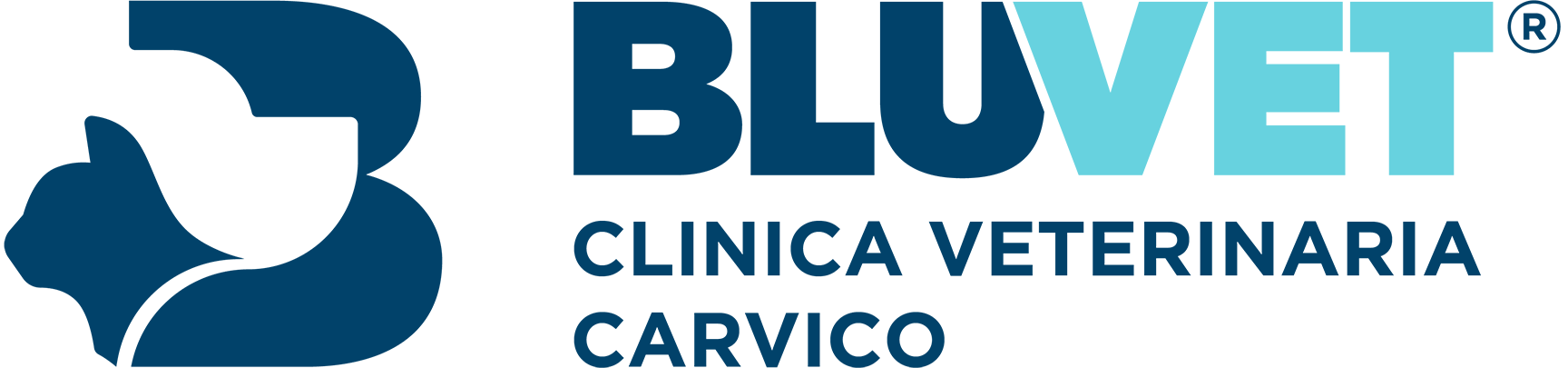 Carvico logo bluvet