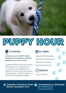 Anubi Evento Puppy Hour 2024