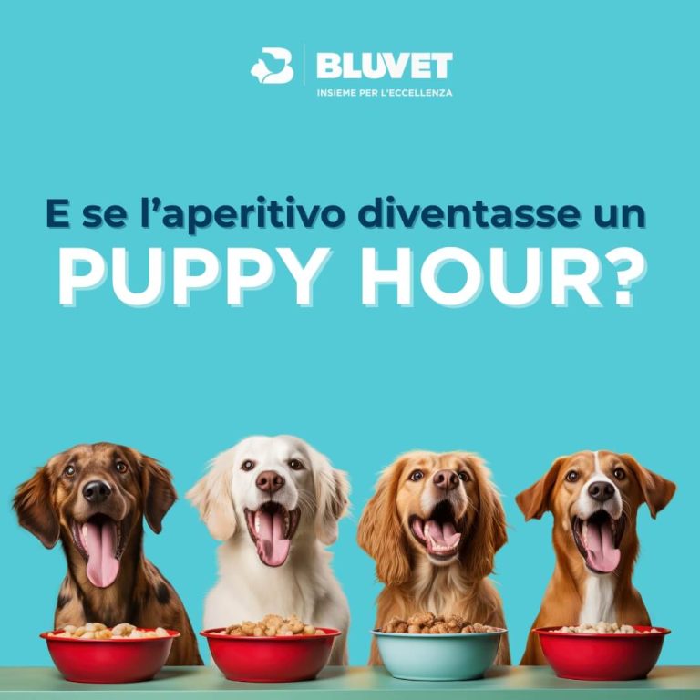 Anubi evento Puppy Hour Moncalieri