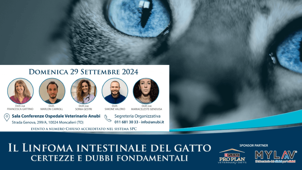 Ospedale Veterinario Anubi Corso oncologia 29092024