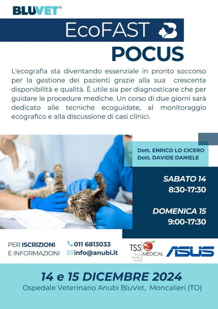 Anubi Evento Ecofast Pocus